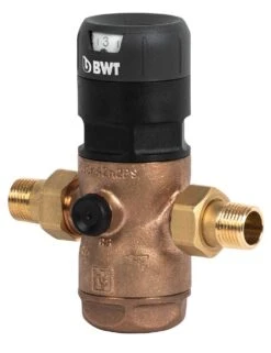 BWT D1 Druckminderer 125300288 2" 85.25